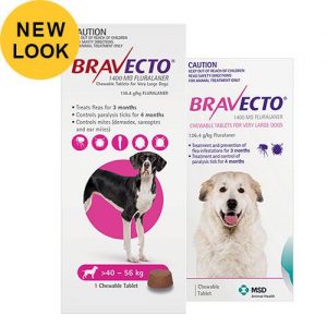 Bravecto for Dogs